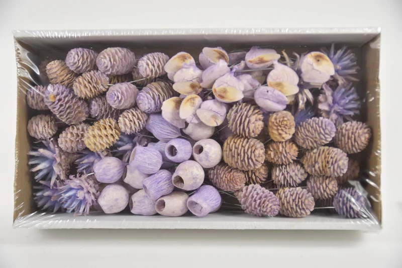 Leucadendron 10cm wr box Lilac-wash (100pcs)