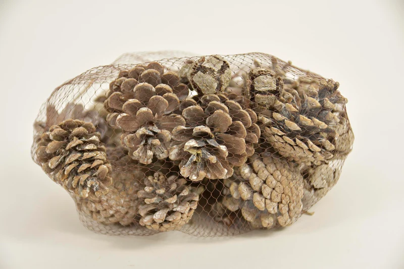 Pine cone mixed 400gr in net