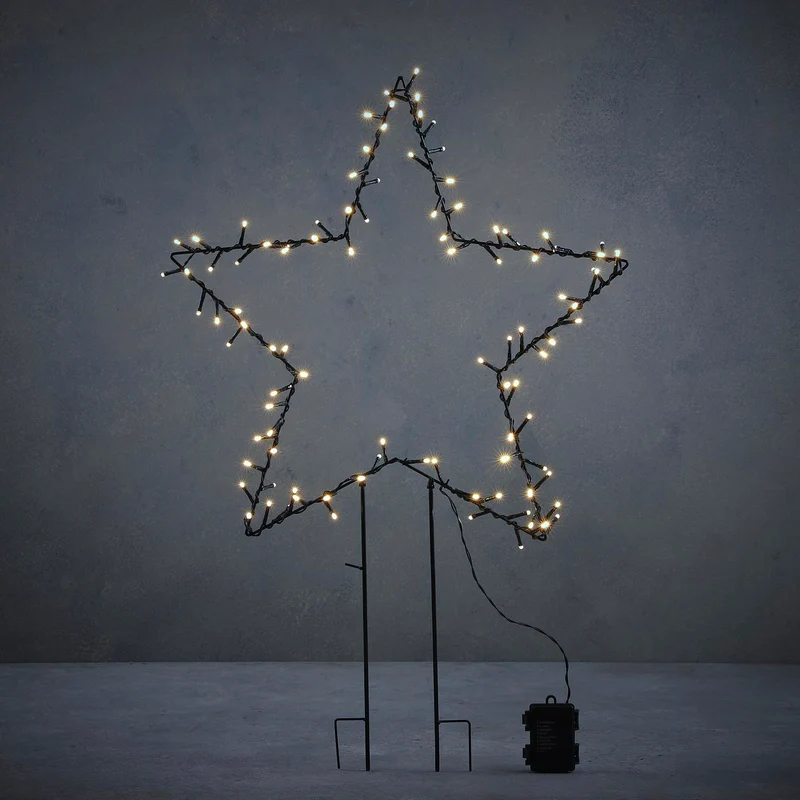 Tuinsteker ster d.groen warm wit 100led met outdoor batterij box en timer - h79xd55cm