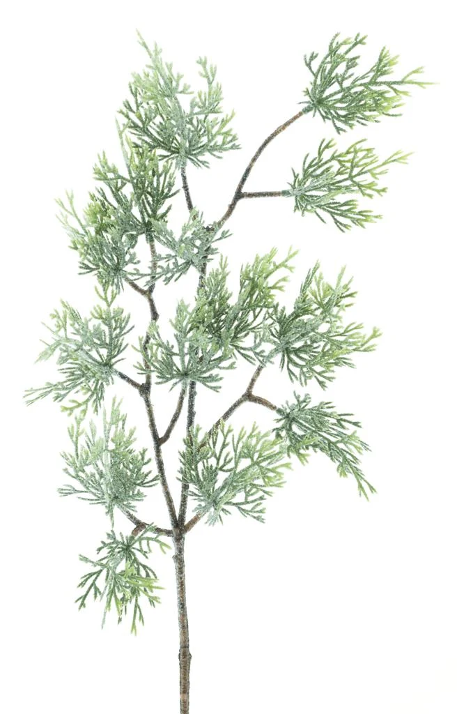 Cedar spray Carly iced 55cm
