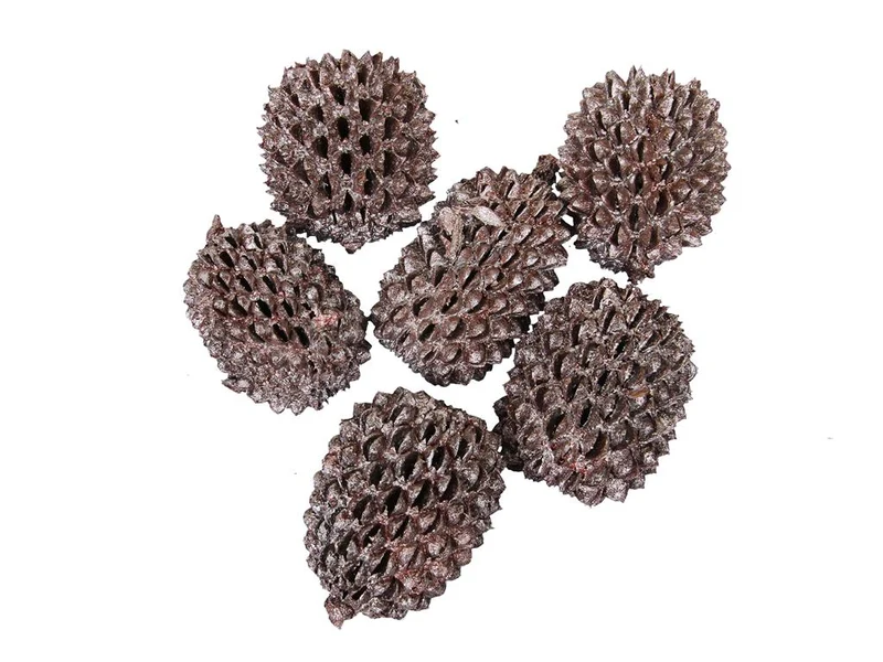 pb. big casurina 200 gram pink