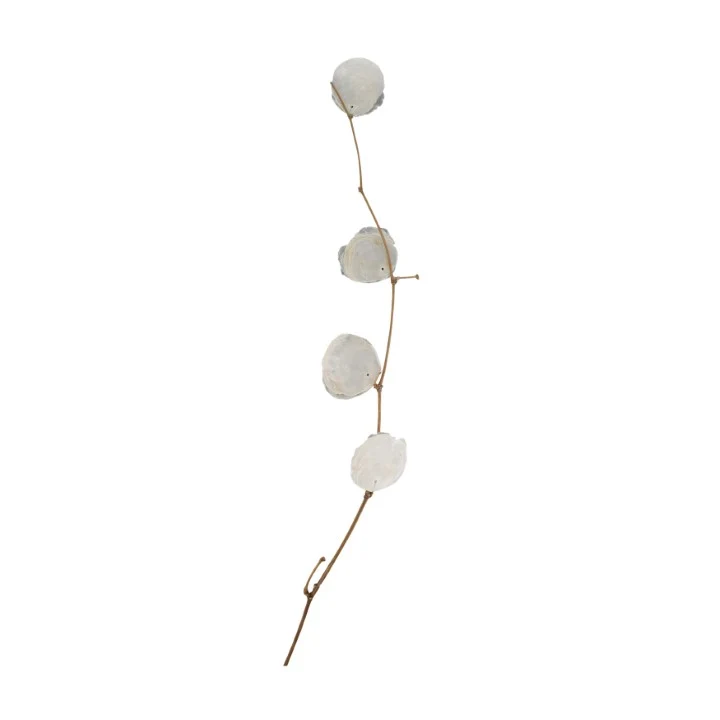 Branch capiz nature 78x15x2cm Natural