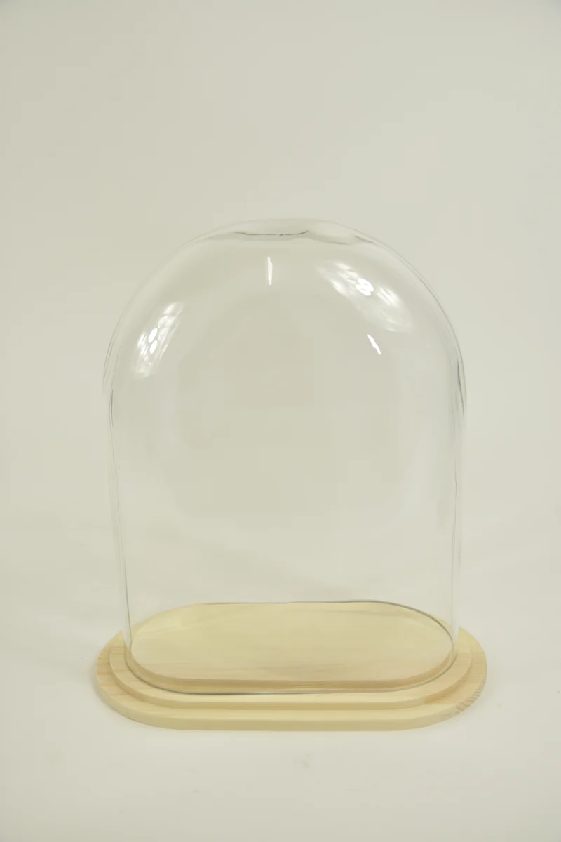 Stolp ovaal L helder glas 24x12,5x30cm blank houten plateau