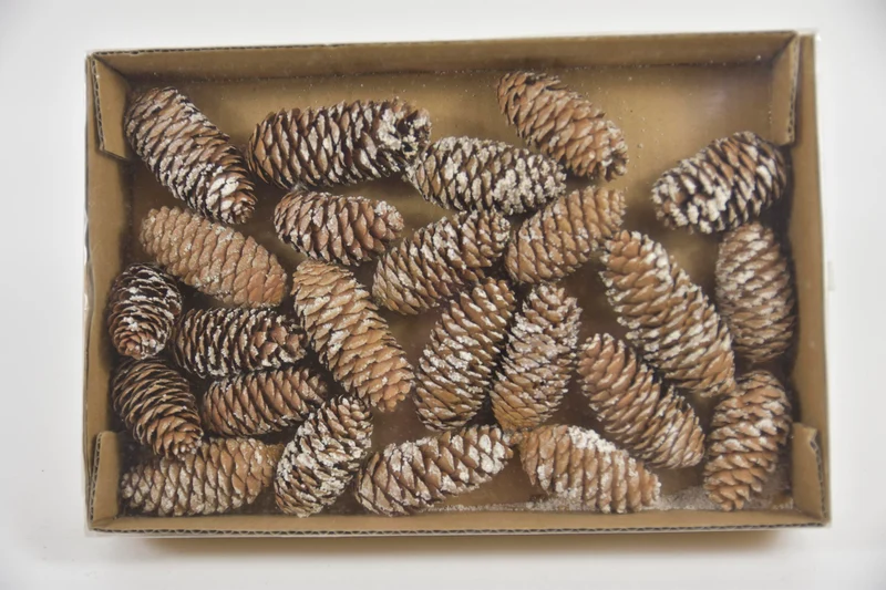 Dennenappels minispar (24Stuks) "Besneeuwd"