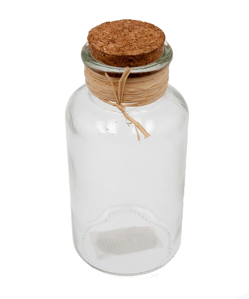 Glazen fles met kurk D8 H16cm helder