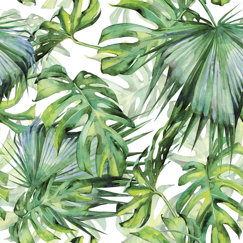 BUITEN CANVAS 58X58CM MONSTERA