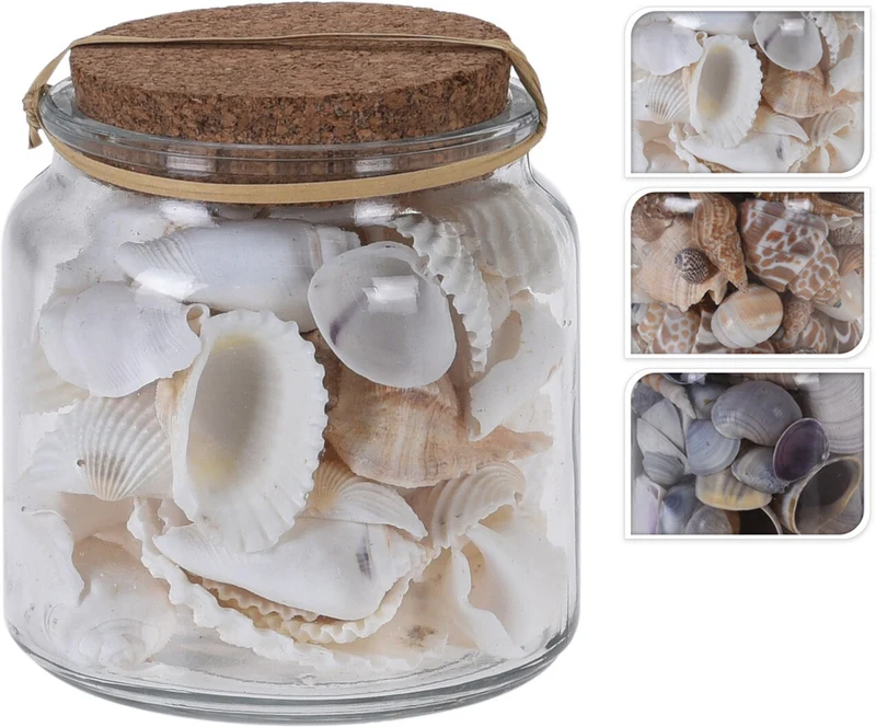 SCHELPEN DECO IN GLAZEN POT D10 H10CM 3 ASSORTIE