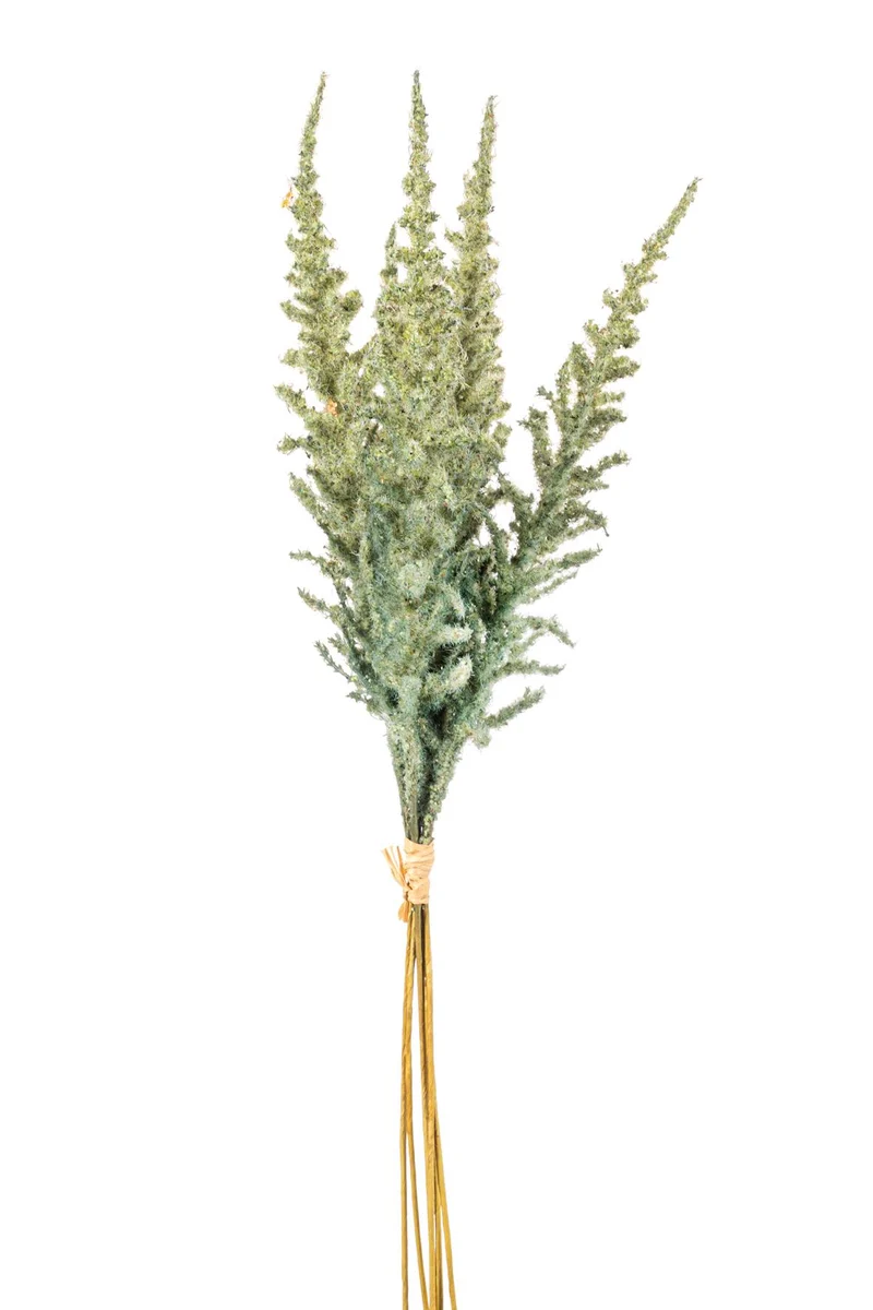 FLOCKING ASTILBE BOUQUET GREEN