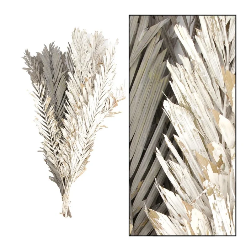 Rahul cut leaves 75cm 12pc Mixed