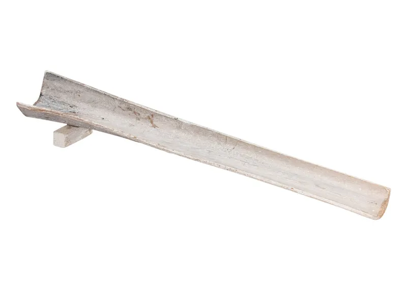 pc. 1 palm sing stem w/1 leg white brush 80cm