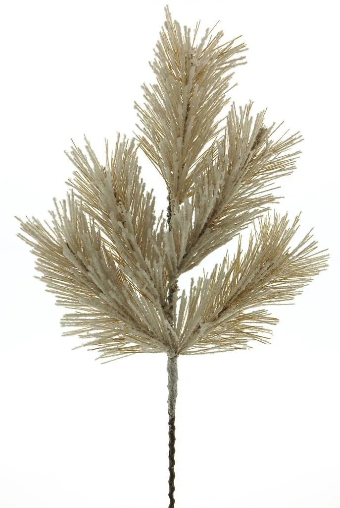 Pinus pine spray beau brown snowy 50cm