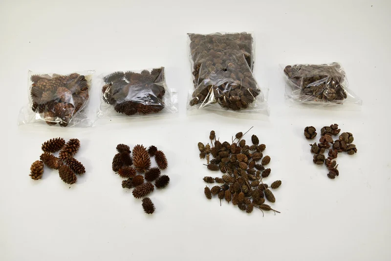 Zakje met natuurdeco 4 assortie