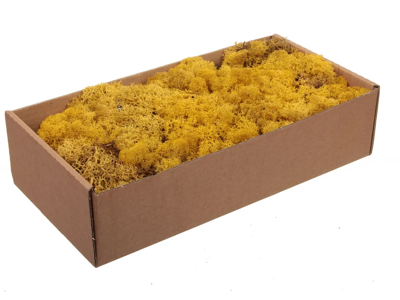 w/b. 500g. finnland moss yellow 500gr.