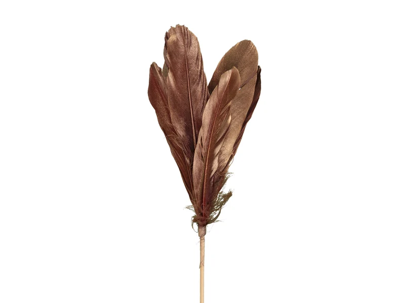pb. 12 goose feathers/stick burgundy 58cm