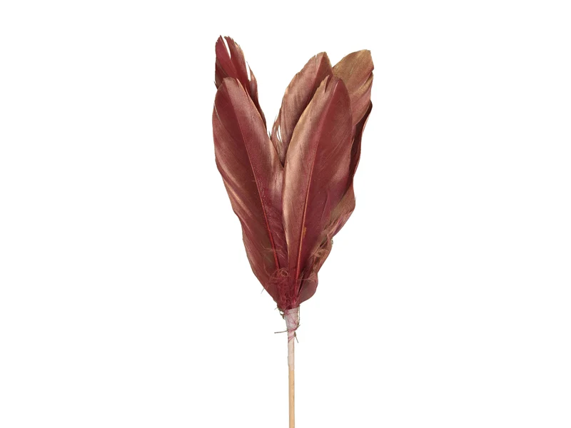 pb. 12 goose feathers/stick pink 58cm
