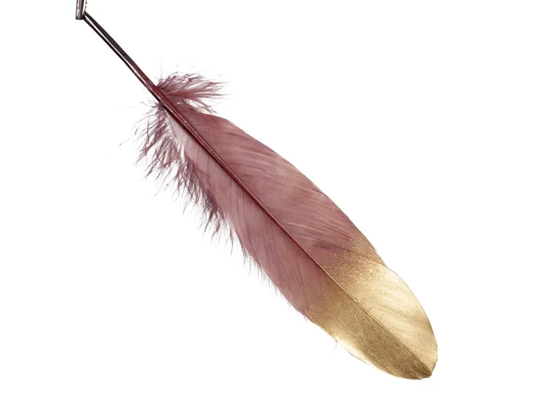 pb. 24 feathers/loose burgundy 18-20 cm