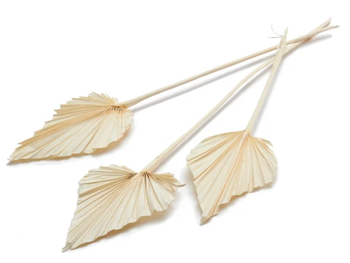 Palm spear bleached 10pcs