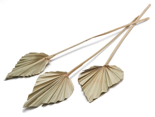 Palm spear natural 10pcs