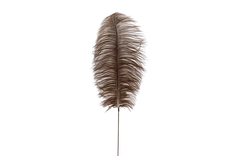 Veren struisvogel 35cm op draad naturel 63cm