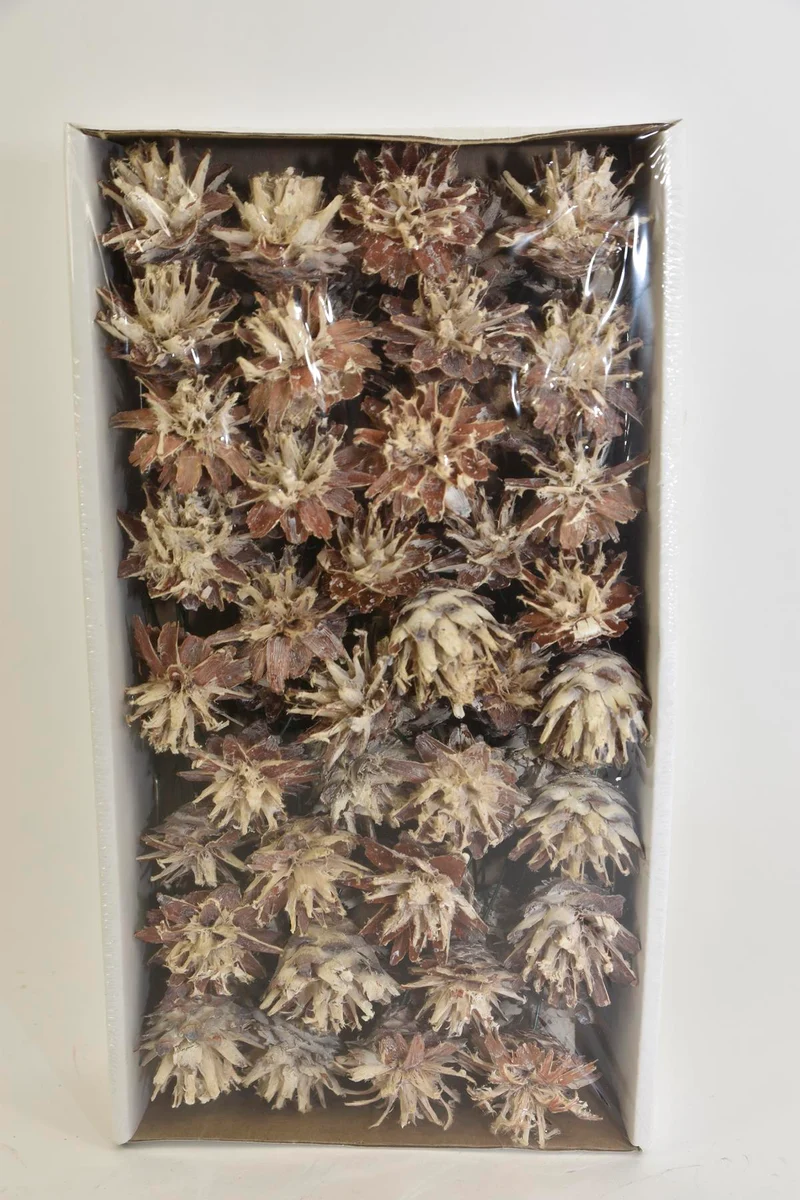 Plumosum 10cm wire box White-wash (55pcs)