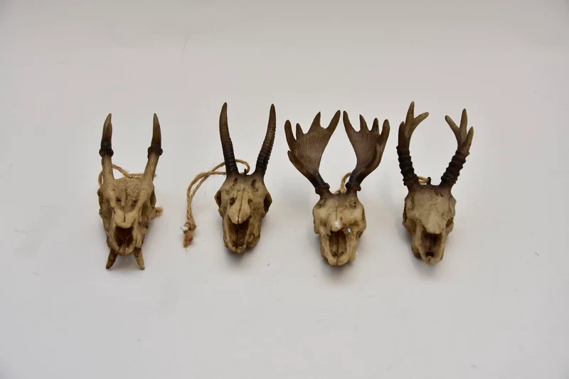 Skull hang poly 4 assorti 10 cm bruin