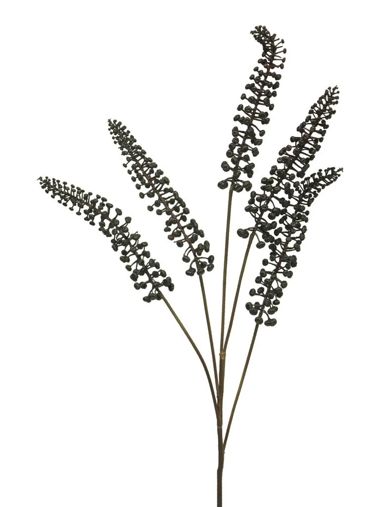 Phytolacca black 93cm