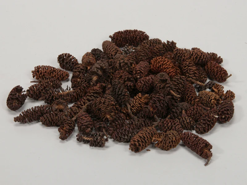 pb. birch pine natural 500gr.
