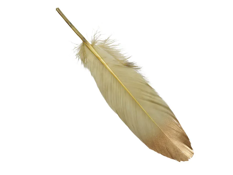 pb. 24 feathers/loose green 18-20 cm
