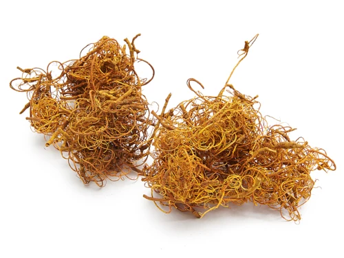 Curly moss yellow 500g