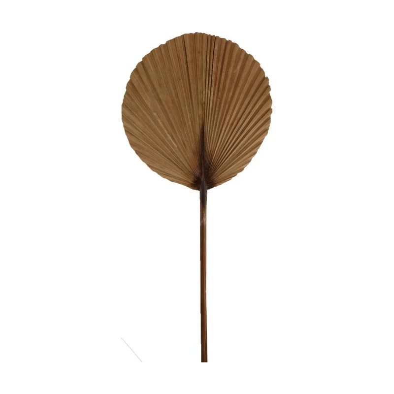 Palm leaf nature 38x1x100cm Natural