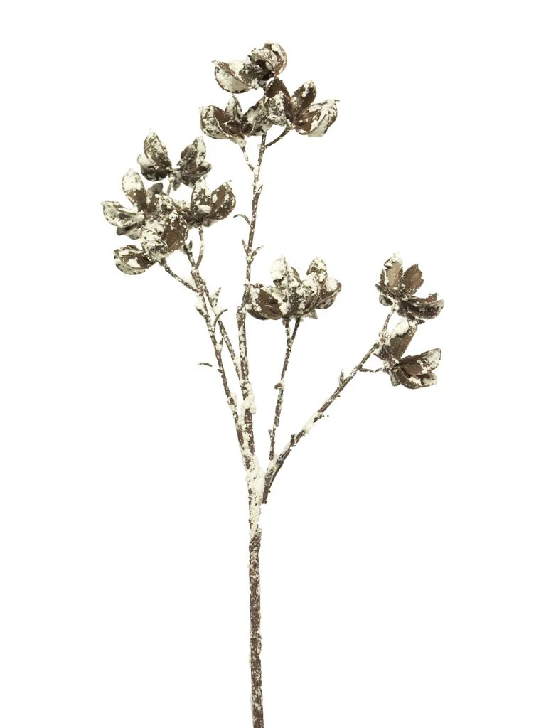 Herbiatic bush snowed brown 61cm