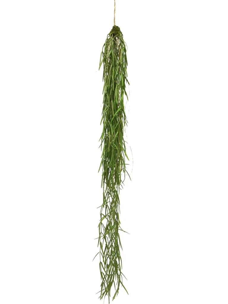 Hanging sprengeri bush green 94cm