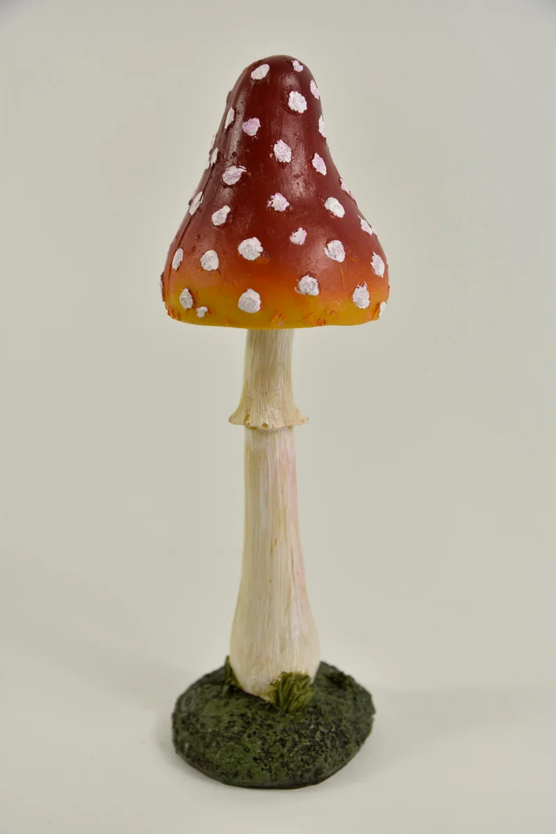 PADDENSTOEL PUNT 7X7X24.5 CM