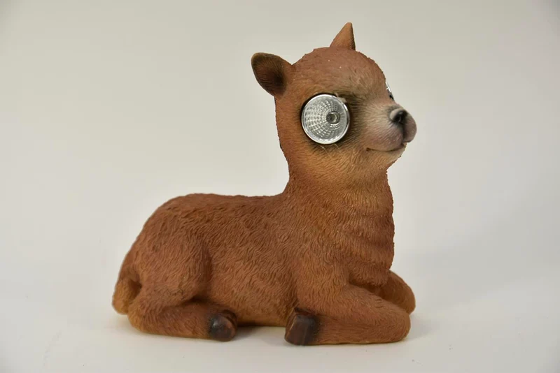ALPACA MET SOLAR