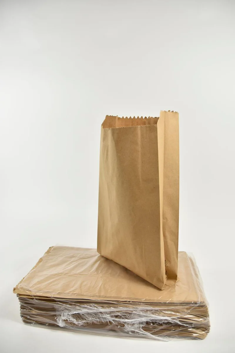 Pak a 100 papieren zak gerecycled bruin 24+8x42cm 70gr.