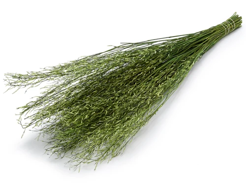 Sarash bunch ±110cm 250g applegreen