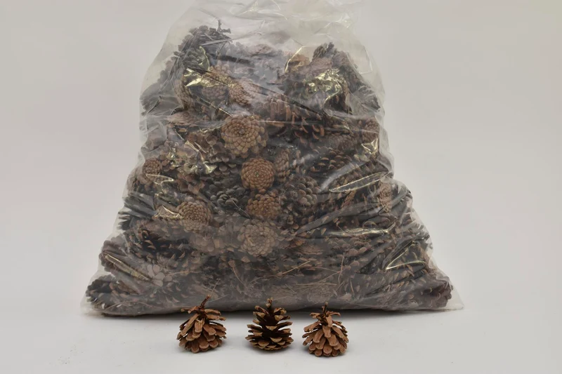 PINUS NIGRA 5-8 CM NATURAL BOX/5 KG