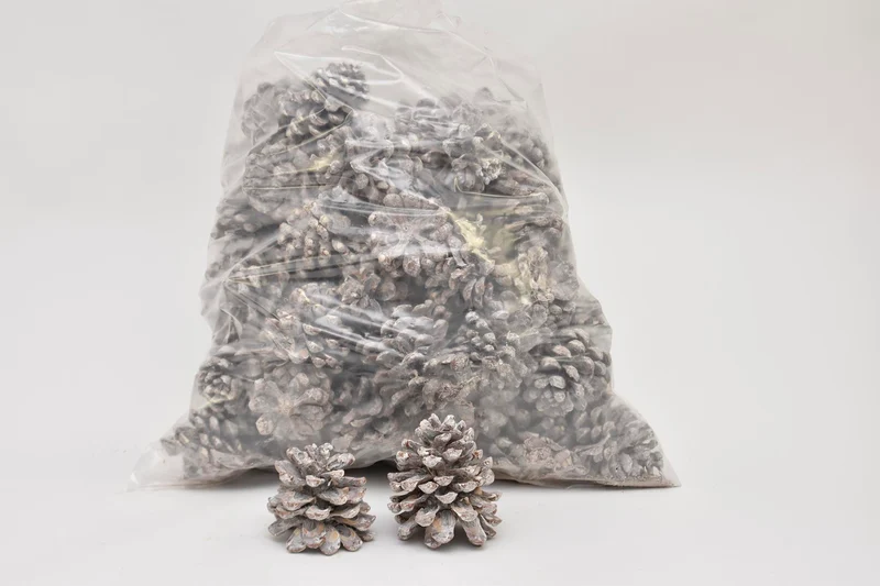 PINUS PINEA MIXED WHITE WASHED POLY/75 PC