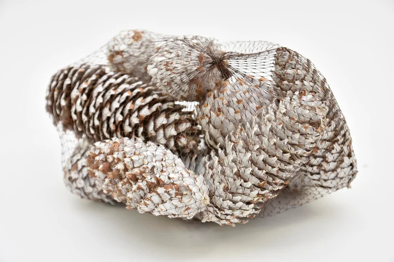 FISCHTEN CONES 12 PCS/NET WHITE