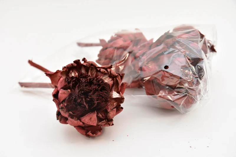 ARTICHOKE 4 PCS RED