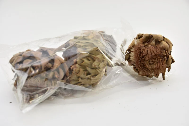 ARTICHOKE 4 PCS NATURAL