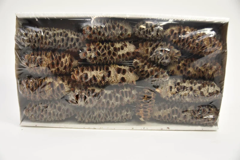 Mealy Pods 10cm steker naturel 35st