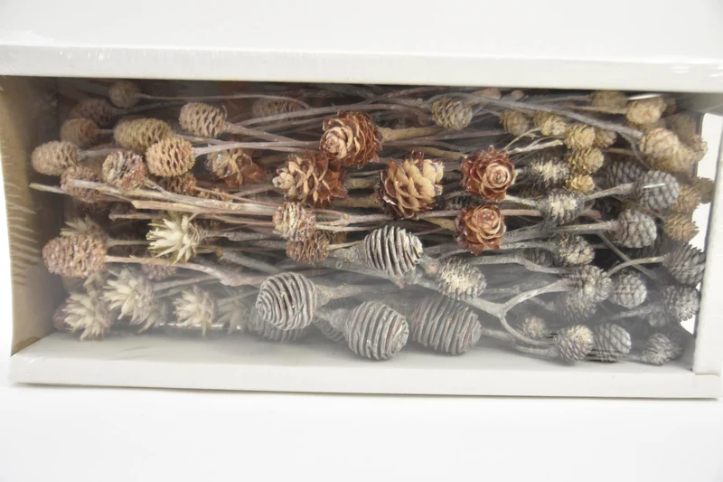 Leucadendron Ass. White-wash (50pcs)