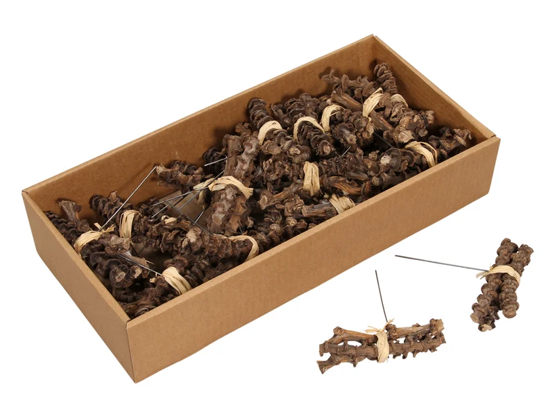 Banana stem naturel bundels op steker 30 stuks 10cm