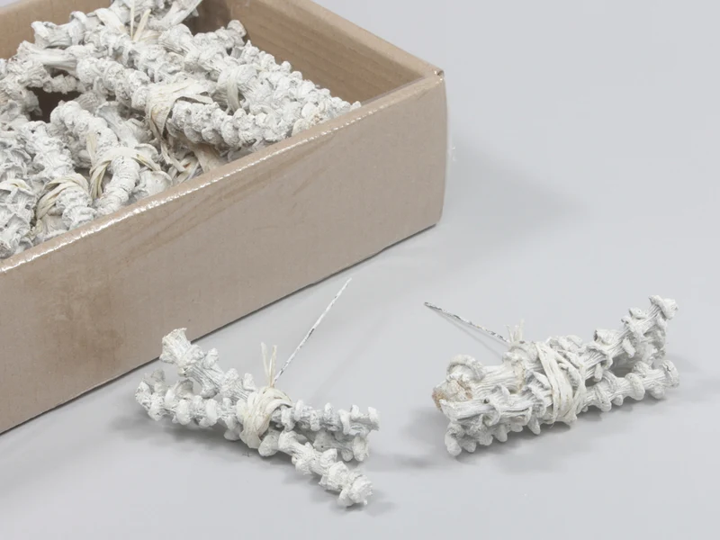 Banana stem white wash bundels op steker 30 stuks 10cm