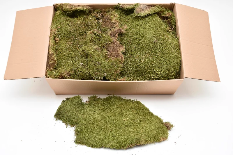 Plaatmos groen doos ca. 2KG