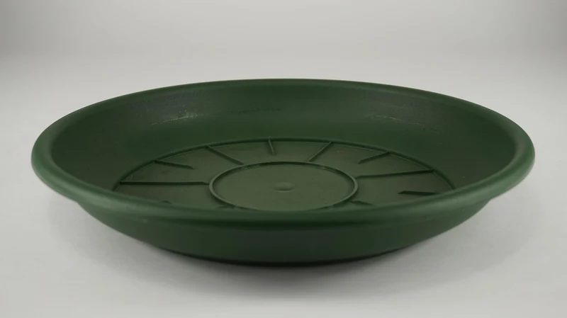 Pak á 10 SCHOTEL DOMUS 22 CM GROEN