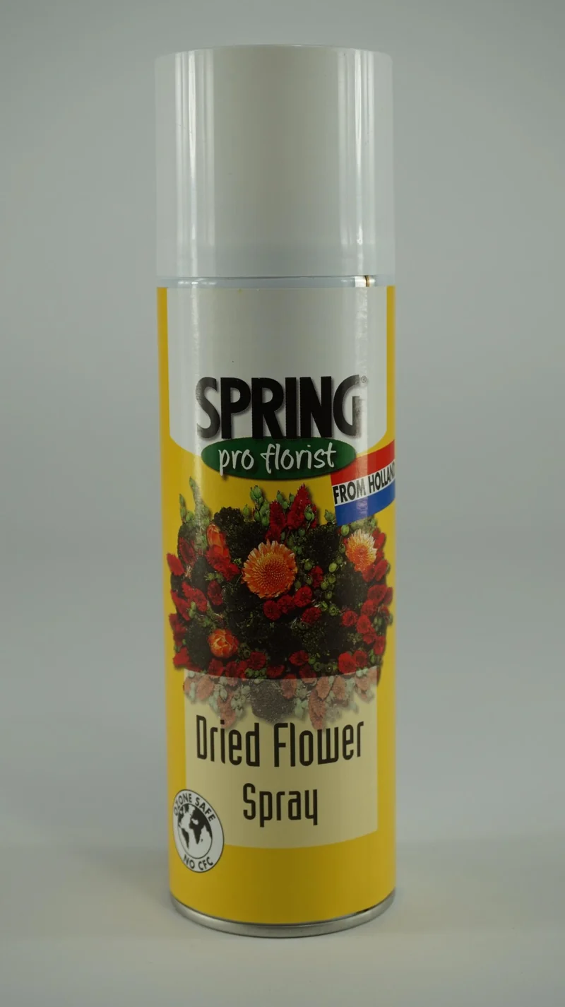 SPRING DROOGBLOEMSPRAY 300 ML