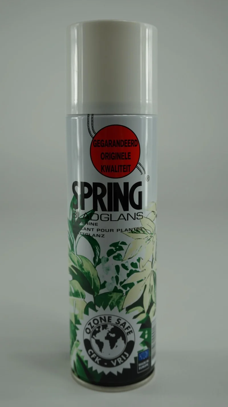 SPRING BLADGLANS 10 OZ/250 ML.
