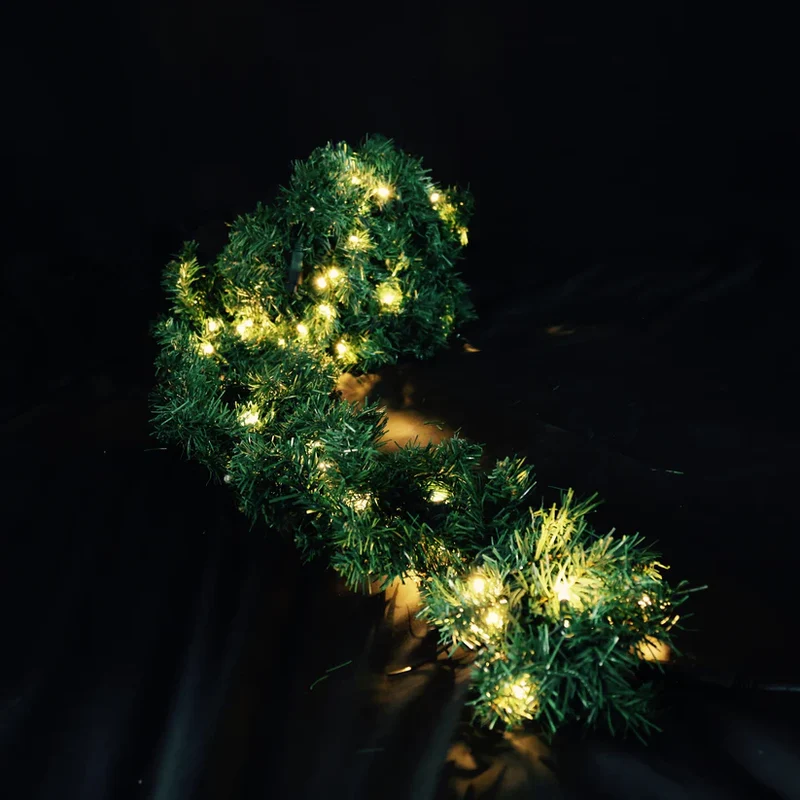 10 meter slinger met LED -lichten